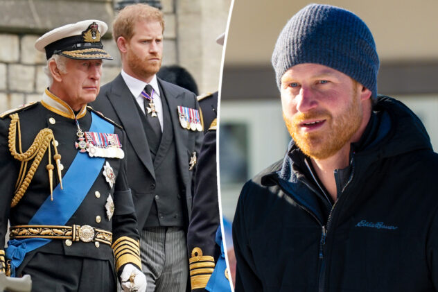 Prince Harry may have to renounce his royal title if he becomes a US citizen