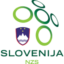 Slovenia vs Bulgaria Highlights